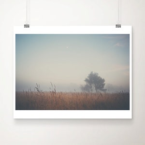 winter morning nature photography, English winter print, lone tree wall art, minimalist decor