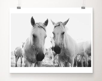 Camargue Horses Print: Black and White Provence Animal Photograph