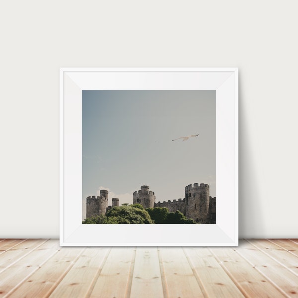 Conwy photograph, Welsh decor, Conwy Castle print, Roman City Walls art, Conwy travel print, sea gull photograph, bird in flight print