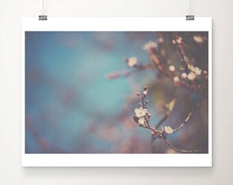 apple blossom print, blossom tree photograph, flower photography, nature photography, nursery decor, botanical wall art