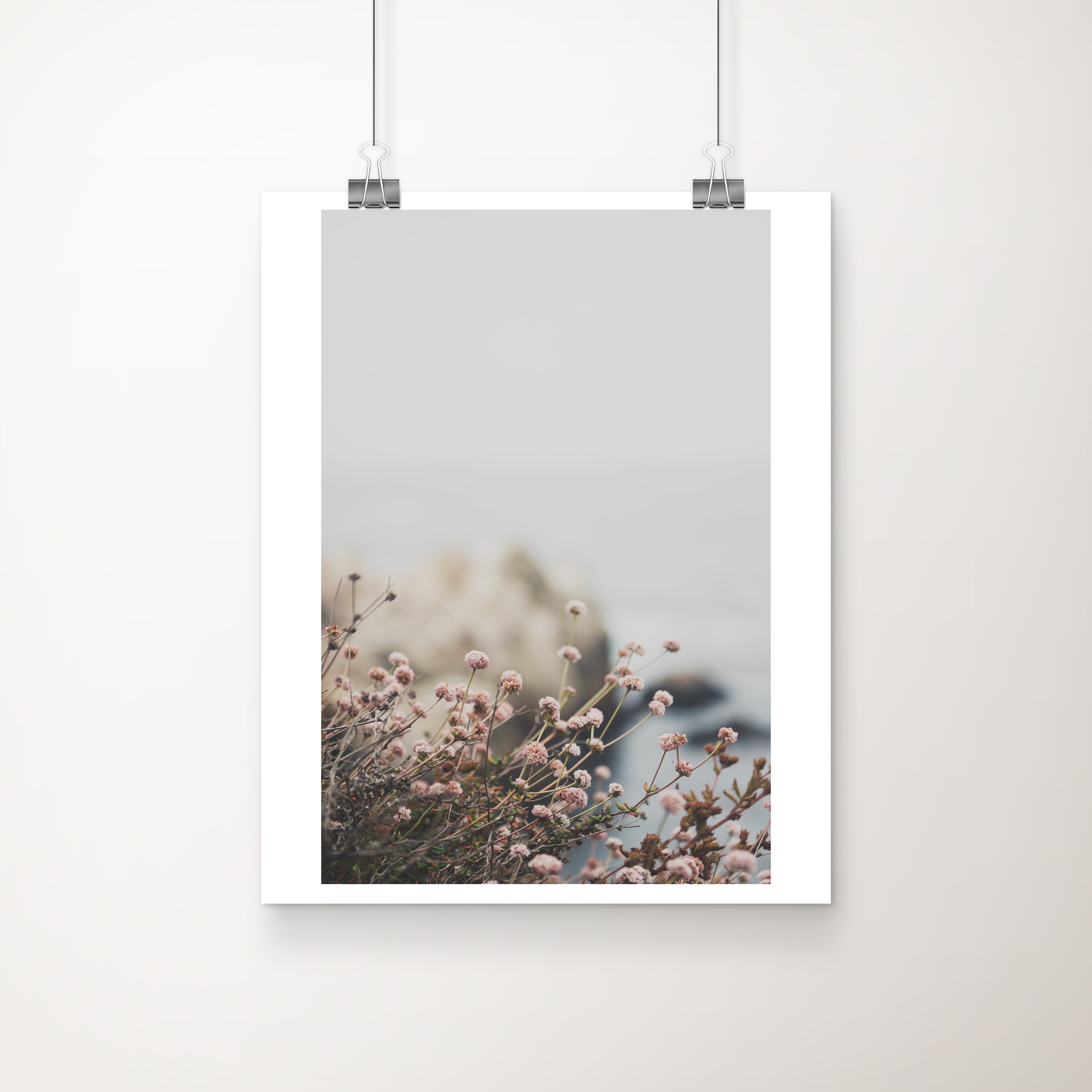 California buckwheat - Etsy 日本
