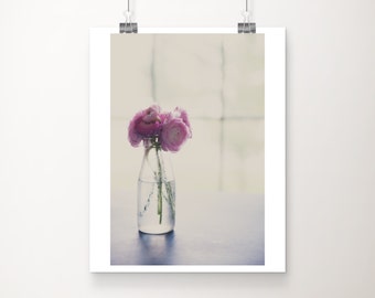 pink ranunculus photograph, botanical print, pink flower print, floral decor, still life photograph, feminine decor, shabby chic decor