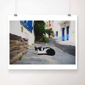 Cat photograph, Cadaques photograph, Spanish decor, travel photography, European decor, animal print, tuxedo cat print