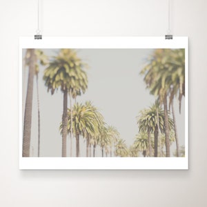 Palme Druck, Los Angeles Druck, Kalifornien Fotografie, Reisefotografie, Westküstendekor, botanischer Druck, SoCal Reisedruck