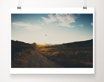 French vineyard sunset photograph, bird in flight print, French decor, road print, travel photography, wanderlust art