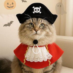 Op de afbeelding: Een pluizige kat met een zwarte piratenhoed met een doodshoofdembleem en een rode cape met witte kanten rand. De kat zit op een wit oppervlak, met Halloween-decoraties op de achtergrond.