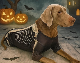 Glow in the Dark Dog Skeleton Costume | Spooky Halloween Pet Outfit Small to Large Dogs