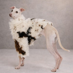 Puede incluir: Un perro delgado y claro que lleva un abrigo de piel sintética blanca, marrón y negra. El perro está de pie sobre una superficie gris claro contra un fondo neutro. El abrigo cubre la espalda y los hombros del perro, creando un look único.