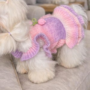 Könnte beinhalten: Ein kleiner weißer Hund trägt ein gestricktes Kleid in Rosa- und Lilatönen. Das Kleid hat einen gerüschten Rock und eine kleine dekorative Blume. Der Hund sitzt auf einem grauen Sofa.