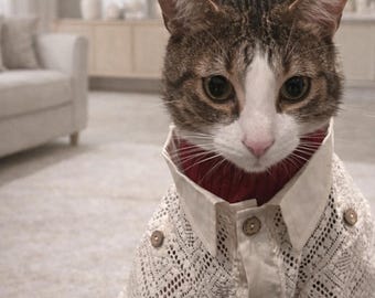 Zomershirt huisdier, kattenhond lichtgewicht kanten shirt, ademende blouse puppy kitten, schattige formele outfit voor huisdier, kleding kleine hond Cat