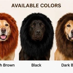 May include: A collection of five faux fur lion manes for dogs, displayed in light brown, reddish brown, black, dark brown, and white. The text AVAILABLE COLORS is centered at the top, with individual color labels positioned below each mane.
