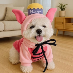 Può includere: Un cane bianco che indossa un costume rosa di maialino, con cappuccio e orecchie abbinate. Il costume include un fiocco nero e un cappello a forma di vaso di miele giallo e viola con la scritta "Honey". Il cane è seduto su un pavimento di legno.