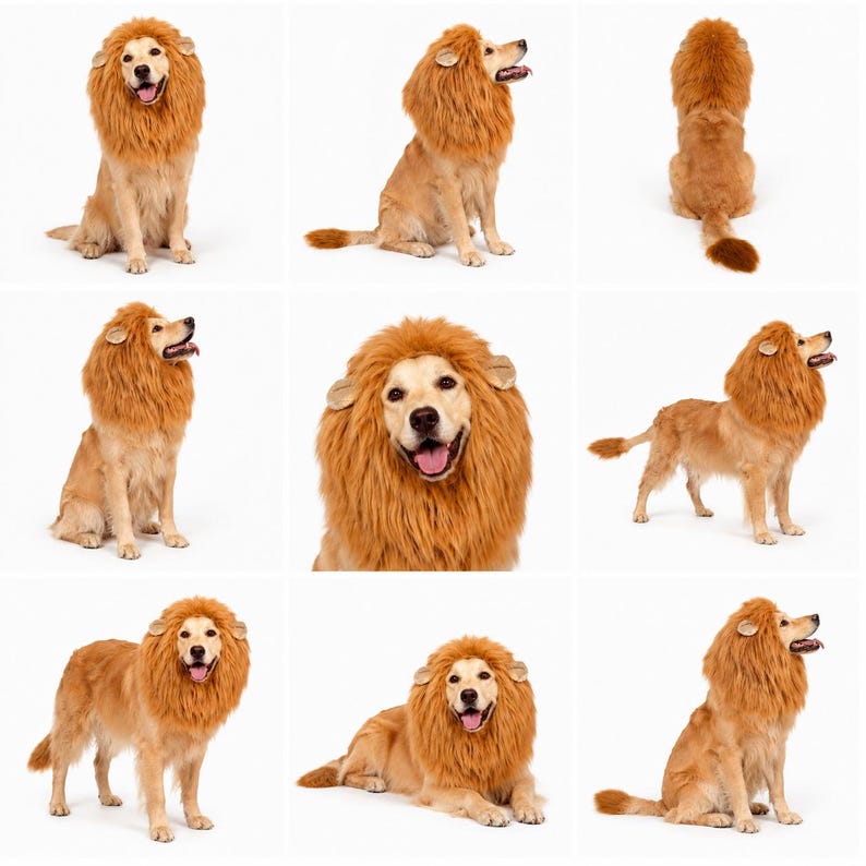 May include: A golden-colored dog wearing a plush, brown faux-fur lion mane costume. The costume features rounded ears and covers the neck and head area, creating the appearance of a lion. The dog is shown in various poses, including sitting, standing, and lying down.