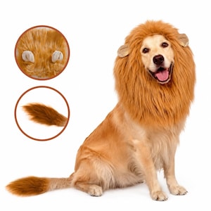 May include: A golden-colored dog wearing a faux fur lion mane costume with attached ears. The set includes a separate matching faux fur tail. The mane features long, shaggy, light brown synthetic fibers framing the face, while the tail is tapered.