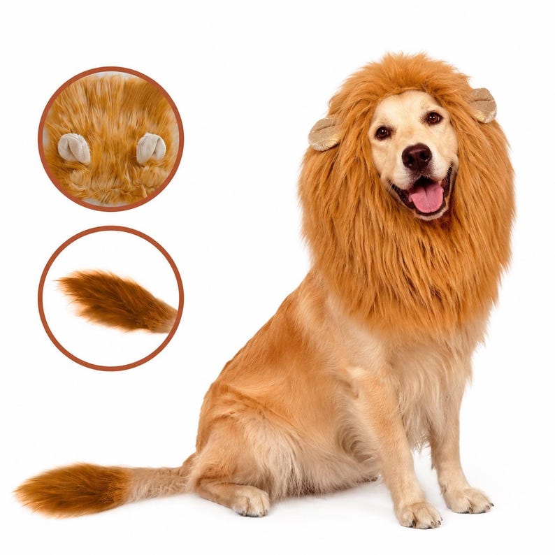 May include: A golden-colored dog wearing a faux fur lion mane costume with attached ears. The set includes a separate matching faux fur tail. The mane features long, shaggy, light brown synthetic fibers framing the face, while the tail is tapered.
