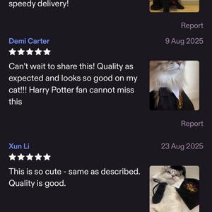 May include: Screenshot of an Etsy shop, PawtiqueCustom, with a 4.8-star rating and customer reviews. The shop is based in London, England. Reviews mention costumes for pets, including a Portuguese Water Dog and a cat.