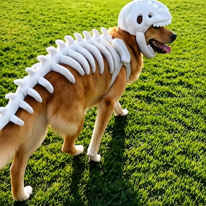 May include: A brown dog wearing a white foam skeleton costume that includes a headpiece shaped like a skull with teeth and a spinal column piece that extends along the back, featuring individual vertebrae segments made of white material.