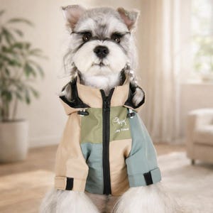 Może przedstawiać: Pies rasy sznaucer w wielokolorowej kurtce dla psa. Kurtka ma blokowy wzór kolorystyczny w kolorze beżowym, zielonym i niebieskim z czarnym zamkiem błyskawicznym i kapturem. Na kurtce wydrukowano napis "My Friend".