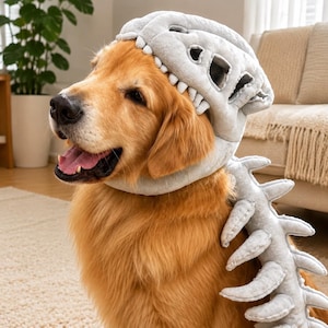 May include: A golden-colored dog wearing a soft, light gray plush dinosaur costume. The headpiece features a stylized skull design with visible teeth, and a long, segmented tail piece with pointed spikes extends down the back of the animal.