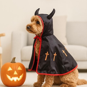 May include: A dog wearing a black devil costume with a red trim and orange crosses. The costume includes a hood with black horns. A carved orange pumpkin with a lit face sits next to the dog. Halloween theme.
