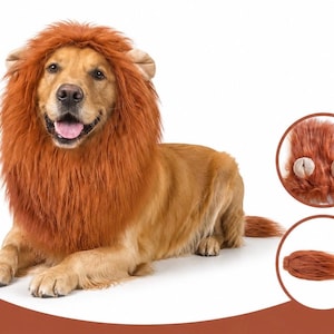 May include: A golden dog wearing a long, orange-brown faux fur lion mane costume with attached ears. The set includes a separate piece featuring two plush ears on a fur base and a matching long, tapered faux fur tail attachment for the animal.