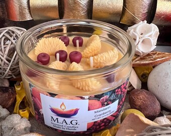 Mandarin Cranberry Candle – 11.5 oz Handmade Soy Wax Jar – Citrus & Cranberry Gift