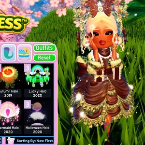 ROYALE HOOG | All-in-game-halo's | Neem contact met mij op voordat je tot aankoop overgaat | HaloXP