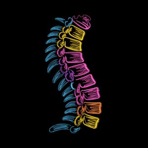 Op de afbeelding: Geborduurde illustratie van een menselijke wervelkolom op een zwarte achtergrond. De wervelkolom is weergegeven in blauw, geel, roze en oranje, met gedetailleerde steken. Het is een medische of anatomische weergave.