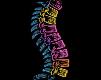 Diseño de bordado de anatomía de la columna vertebral, patrón de bordado médico de columna vertebral humana neón – PES JEF DST, 9 tamaños