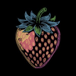 May include: Embroidered strawberry design on a black background. The strawberry features pink, yellow, and orange stitching, with blue and green leaves and stem. The design has a textured, hand-stitched appearance.