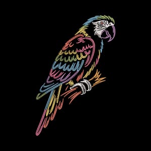 Könnte beinhalten: Ein farbenfrohes, gesticktes Papageien-Design auf schwarzem Hintergrund. Der Papagei sitzt auf einem Ast, mit Details in Blau, Gelb, Rosa und Grün. Der Stickstil verleiht den Federn des Vogels ein strukturiertes Aussehen.