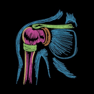 Peut inclure: Illustration anatomique d'une articulation de l'épaule, réalisée avec des lignes colorées et stylisées sur fond noir. L'image met en évidence la structure osseuse et les tissus environnants, utilisant des nuances de rose, bleu, vert et orange.