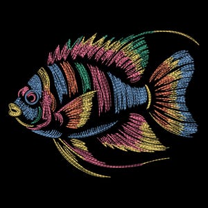 May include: A colorful fish illustration on a black background. The fish is depicted with a variety of colors, including blue, pink, yellow, and green. The design has a textured, embroidered appearance, with each color applied in a linear fashion.