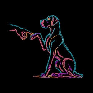 Può includere: Un'illustrazione a linee in stile neon raffigurante un cane seduto che tende una zampa verso un dito umano. Il design presenta contorni vivaci nelle tonalità ciano, magenta e arancione su uno sfondo nero solido, creando un effetto luminoso.