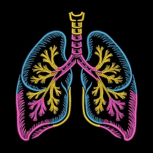 May include: Anatomical illustration of human lungs, rendered in a detailed embroidery style. The design features the lungs in pink, blue, and yellow against a black background. The trachea and bronchial tubes are also visible, creating a striking visual representation.