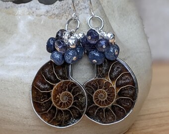 Ammonite Earrings: Sterling Silver, Kyanite & Iolite Tassels