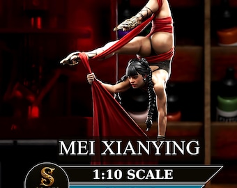 PinUp Resin Figure |Fantasy Display Model | Unpainted 3D Print | 1/10 Scale |Mei Xianying