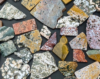 Natural Ocean Jasper Slice Slab , Orbicular Pattern Stone - Healing Crystal Slice - Coastal Decor