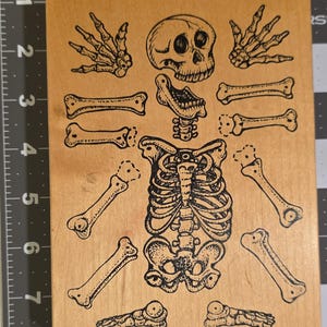 Rubber Stamp | JOINTED SKELETON | Visions of Ink | Halloween | Orthopedics | Bones | Retired | Vintage | Wood Mounted Rubber Stamp | Rare