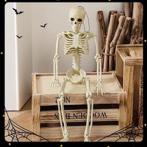 Halloween skeletdecoratie – Realistische opties van 90 cm of 40 cm, volledig beweegbare gewrichten. Perfect griezelig rekwisiet voor binnen en buiten.