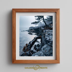 May include: A framed landscape photograph depicting a rocky coastline with dark, jagged stones and a single pine tree under a heavy, grey fog. The scene features calm water reflecting the overcast sky, all encased in a light brown wooden frame.