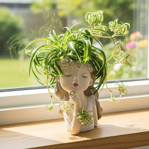 May include: A decorative planter shaped like a serene woman with closed eyes, holding a finger to her lips. The planter is filled with a vibrant green spider plant. The planter is off-white with a touch of pink on the lips.