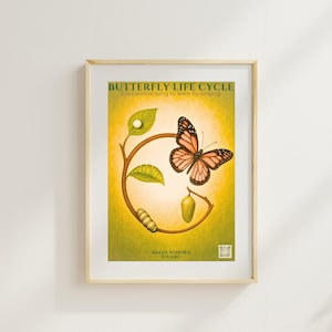 Puede incluir: Una impresión enmarcada titulada "Ciclo de vida de la mariposa" con ilustraciones de una oruga, una crisálida y una mariposa. La mariposa es naranja y negra. La impresión tiene un fondo amarillo y verde y el texto "Canción educativa para aprender cantando."