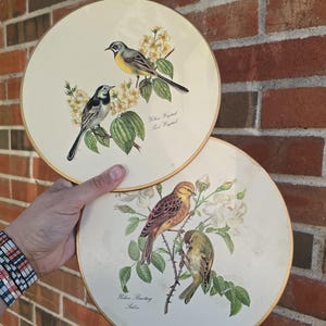 Lady Clare Vintage Placemats - Etsy