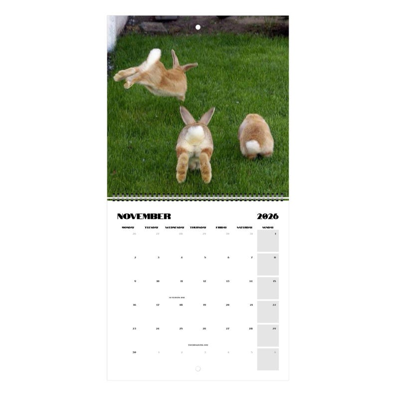 Bunny Butt 2026 Calendar, Funny Calendar, Gag Gifts, Funny Gift Ideas ...