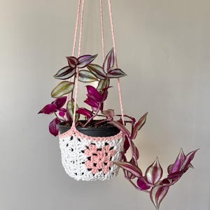 May include: A hanging plant with vibrant purple and green leaves in a black pot. The pot is suspended by pink cords and held in a white and pink crocheted plant holder. The plant holder has a floral design.