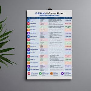 Pode incluir: Um cartaz de parede vertical intitulado Full Body Reformer Pilates Detailed Exercise Guide. O gr&aacute;fico apresenta uma lista numerada de 1 a 16, detalhando nomes de exerc&iacute;cios, m&uacute;sculos prim&aacute;rios, instru&ccedil;&otilde;es e s&eacute;ries de repeti&ccedil;&otilde;es em uma tabela.