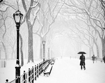 The Mall B&W Photo, Central Park, New York, City, Urban, NYC, Snow, Storm, Black, White, Winter