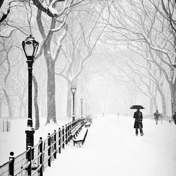 The Mall B&W Photo, Central Park, New York, City, Urban, NYC, Snow, Storm, Black, White, Winter