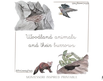 Animales del bosque Montessori / Tarjetas de nomenclatura de animales y madrigueras / PDF imprimible en inglés e italiano